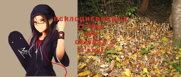 стафф Майский
