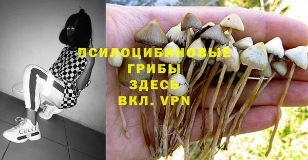 2c-b Лихославль