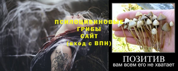 2c-b Лихославль