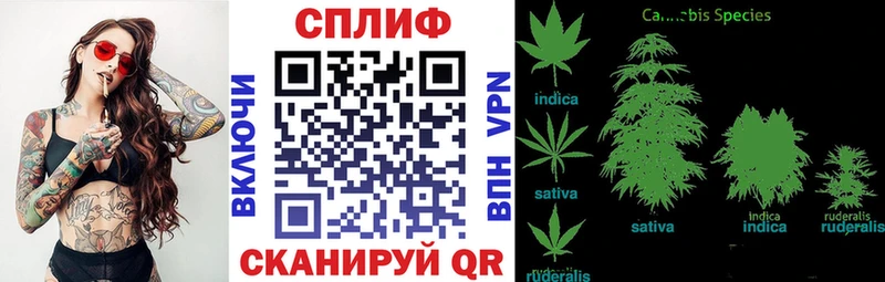 блэк спрут tor как найти Ливны Марихуана Ganja